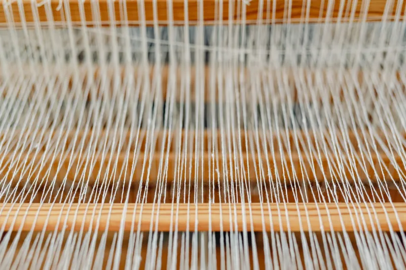 Follow the Fiber: Why the Story of Your Fabric Matters More Than the Label